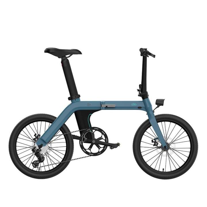 eBike Fiido D11