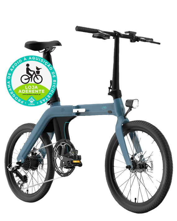 eBike Fiido D11