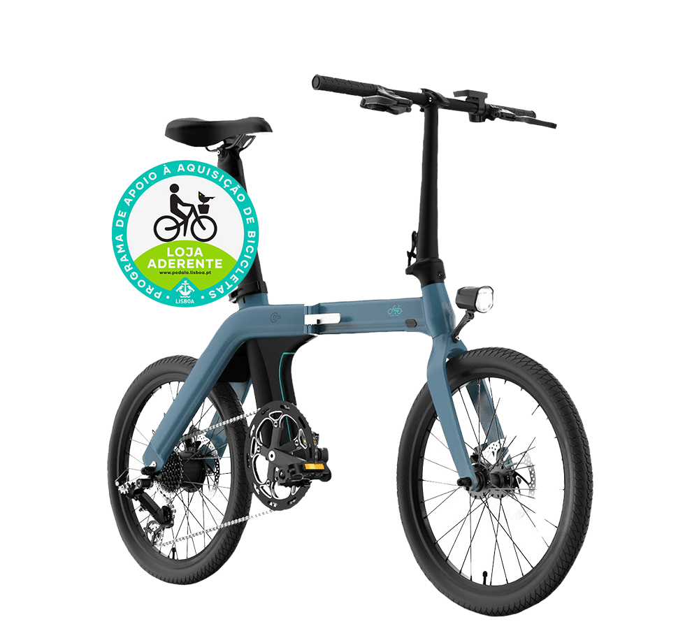 eBike Fiido D11