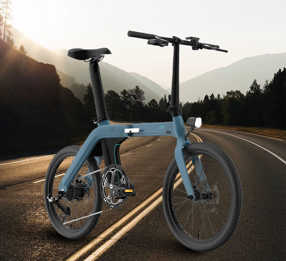 eBike Fiido D11