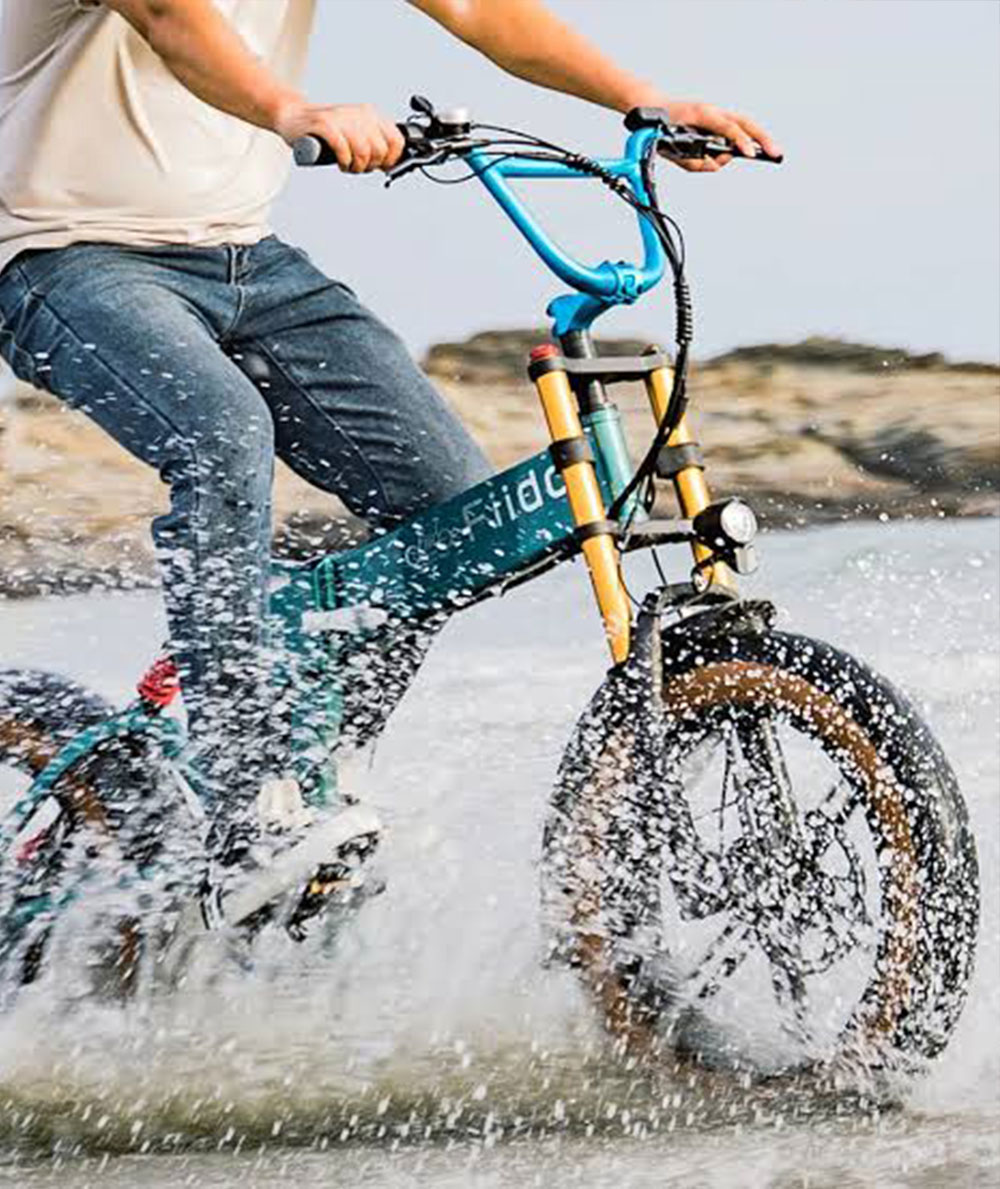 eBike Fiido M1 Pro