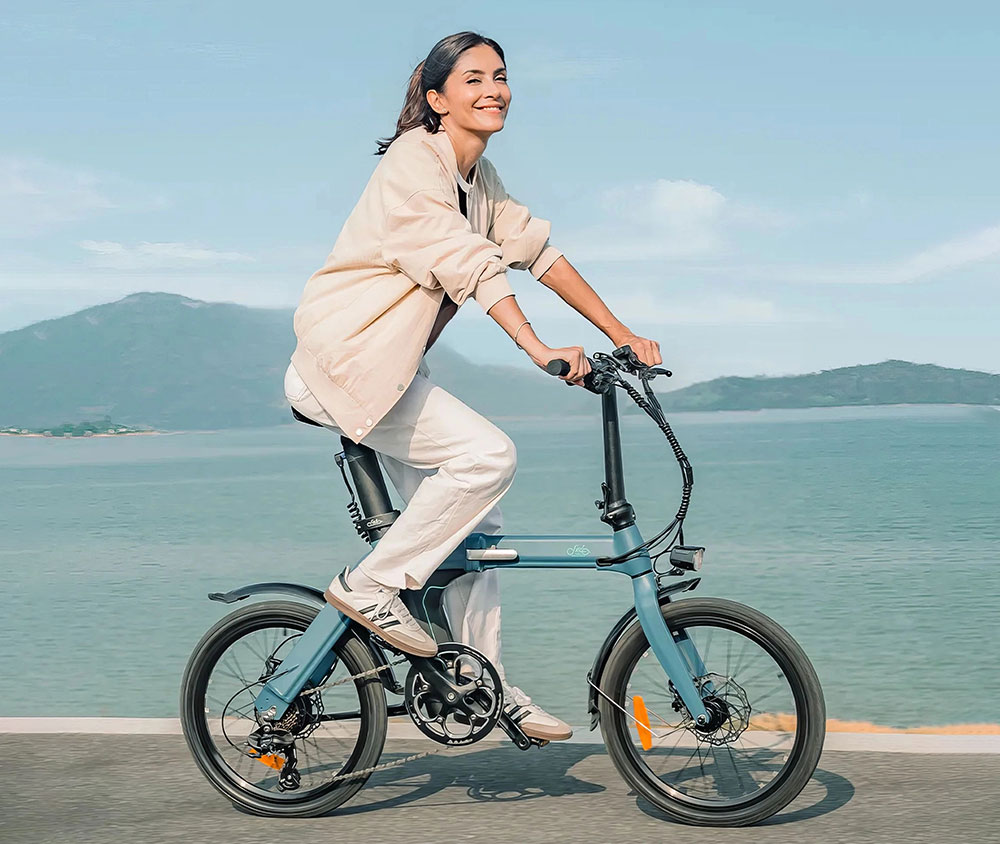 eBike Fiido D11