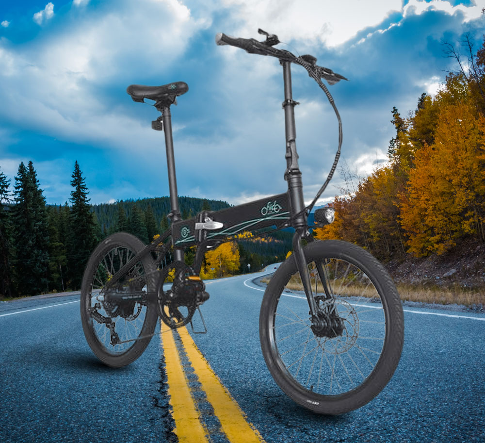 eBike Fiido D4 S