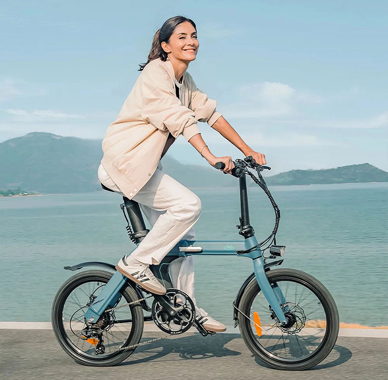 Mobilidade Elétrica eBike Fiido D11
