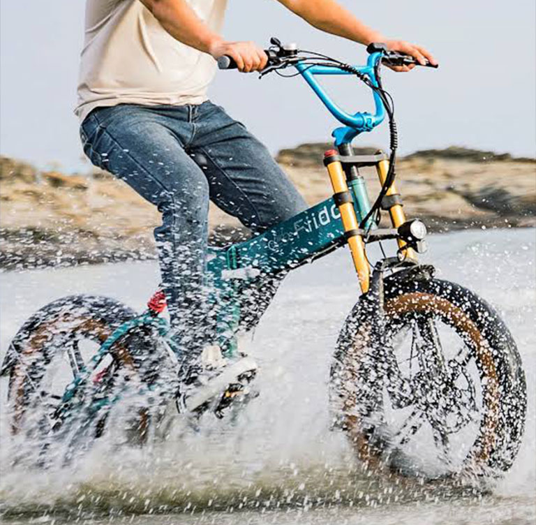 eBike Fiido M1 Pro